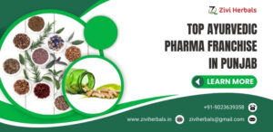 Top Ayurvedic Pharma Franchise in Punjab