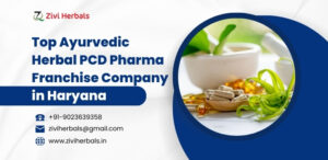 Top Ayurvedic Herbal PCD Pharma Franchise Company in Haryana