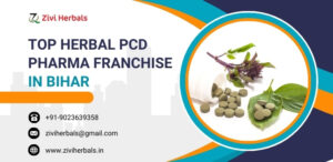 Top Herbal PCD Pharma Franchise in Bihar