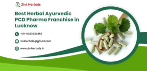 Best Herbal Ayurvedic PCD Pharma Franchise in Lucknow