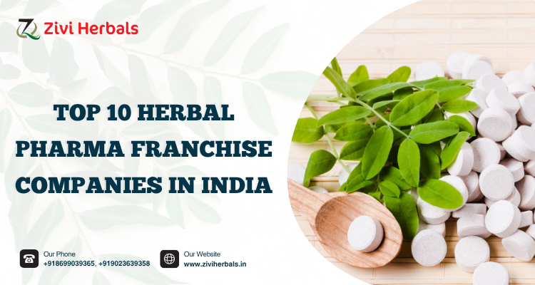 Top 10 Herbal Pharma Franchise Companies in India