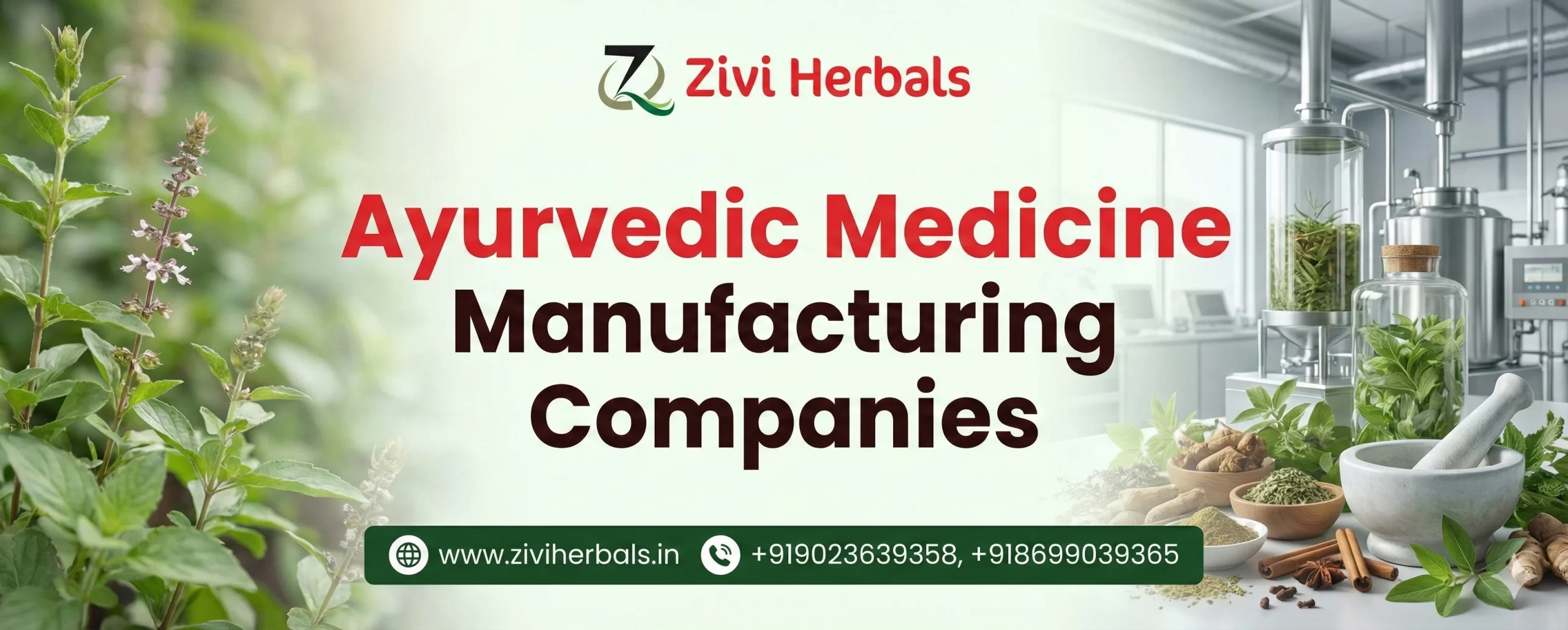 Ayurvedic Medicine Manufacturing Companies
