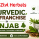 Ayurvedic PCD Franchise in Punjab